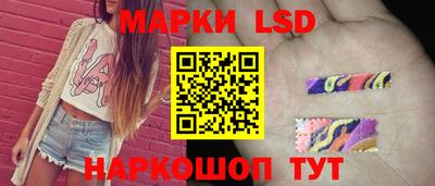 крисы Малгобек