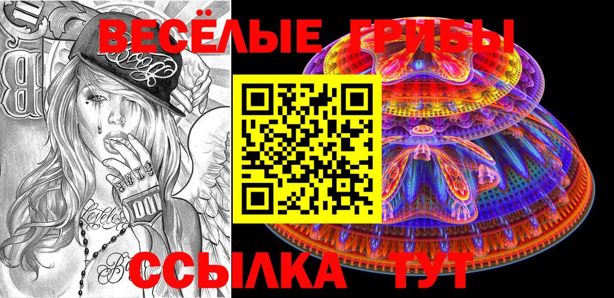 Галлюциногенные грибы мицелий Егорьевск